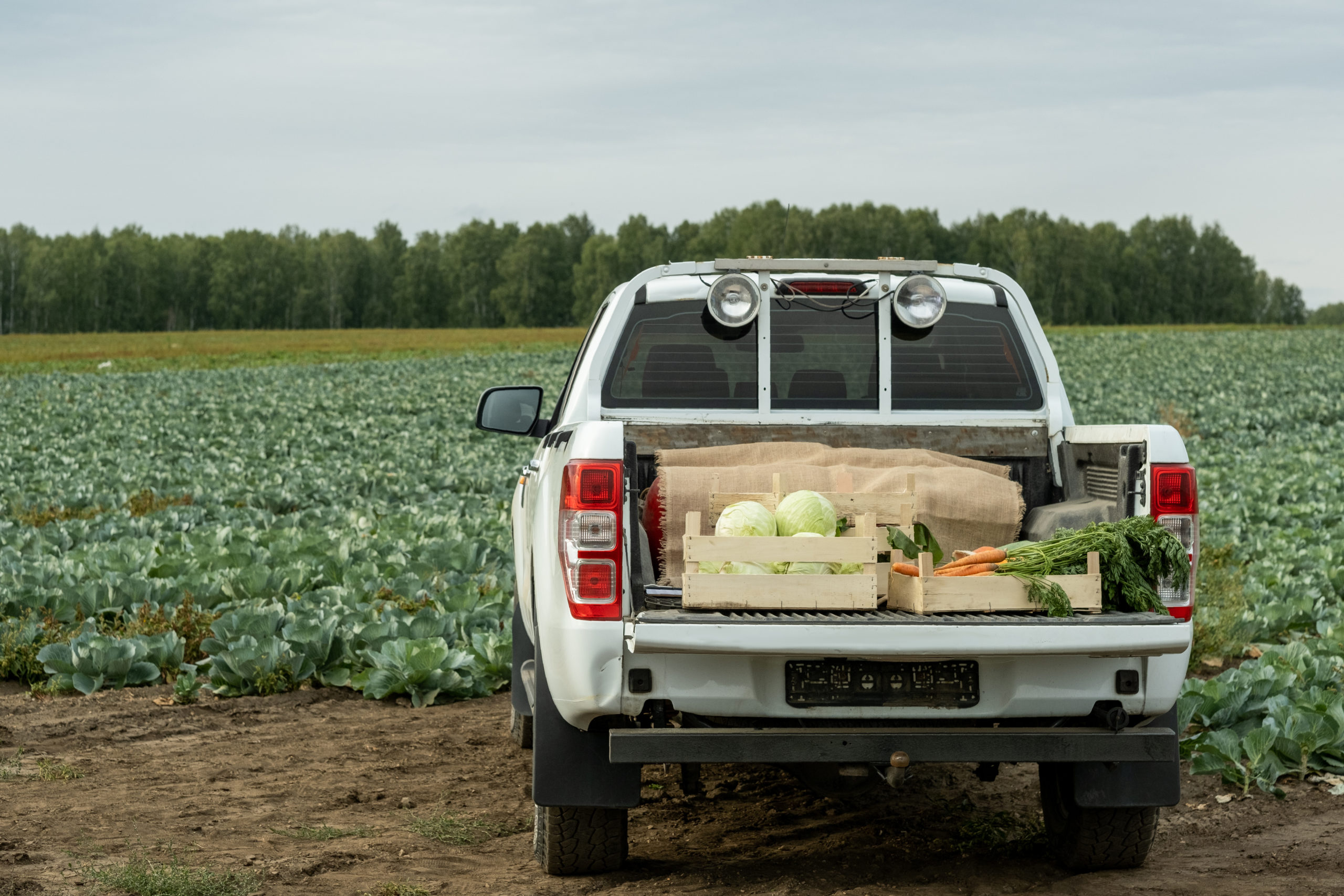 http://localhost/wp-content/uploads/2023/09/pickup-truck-with-vegetable-crop-2021-12-09-09-46-08-utc-scaled.jpg
Deprecated: substr(): Passing null to parameter #1 ($string) of type string is deprecated in /var/www/html/wp-content/themes/autolab_theme/al_func/al_helpers.php on line 46

Deprecated: parse_url(): Passing null to parameter #1 ($url) of type string is deprecated in /var/www/html/wp-includes/media.php on line 5314

Deprecated: str_starts_with(): Passing null to parameter #1 ($haystack) of type string is deprecated in /var/www/html/wp-includes/media.php on line 5321
