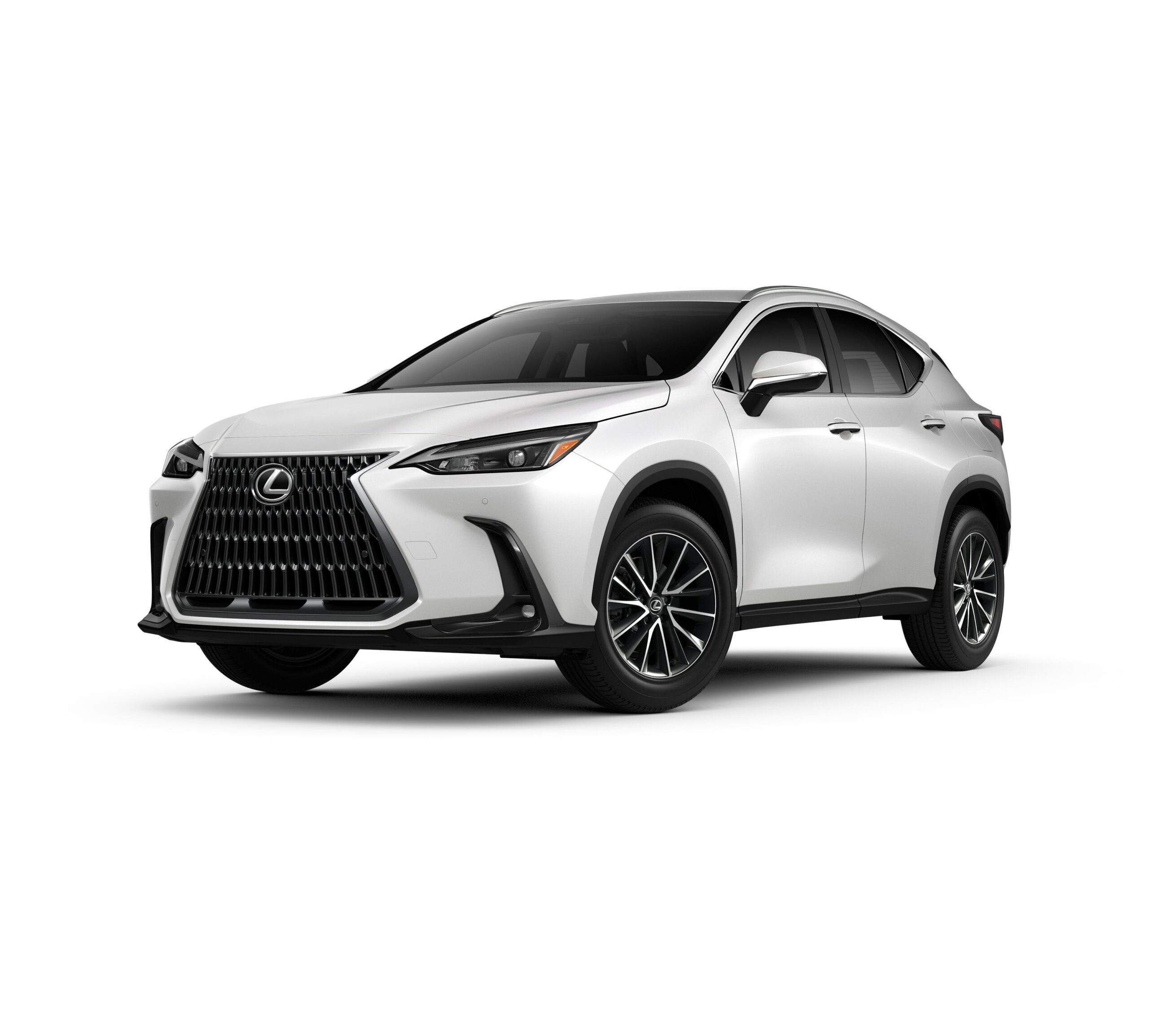 Lexus Nx350h 2025 Luxury